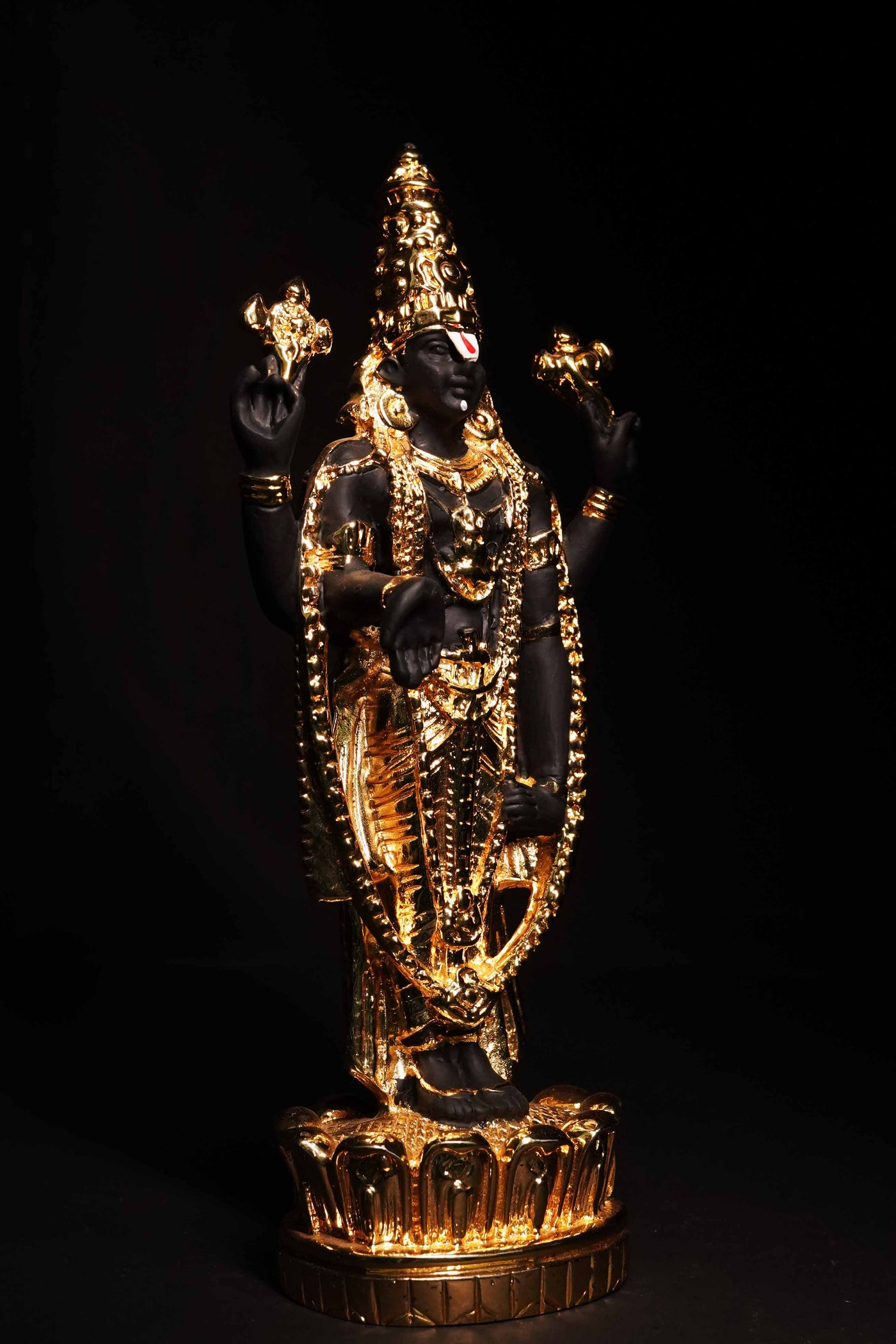 Balaji Tirupati Venkateshwar